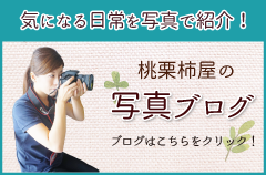 桃栗柿屋の写真ブログ